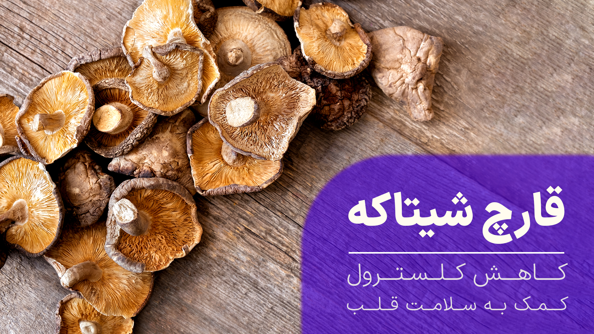 قارچ شیتاکه کلسترول خون را کاهش میدهد